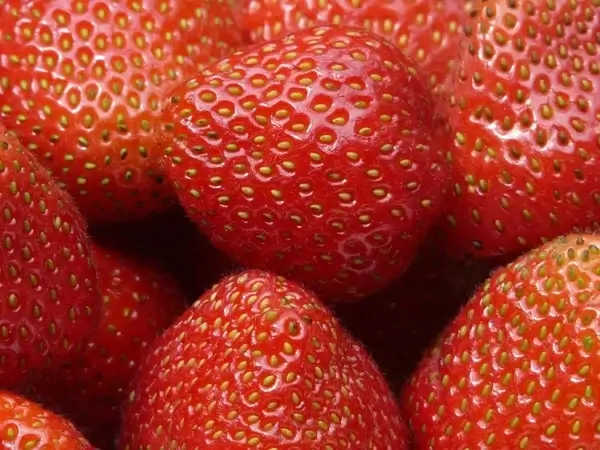red strawberries fruits