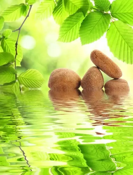 reflection in the water 02 hq pictures