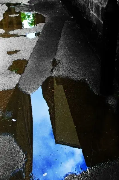 reflection in the water