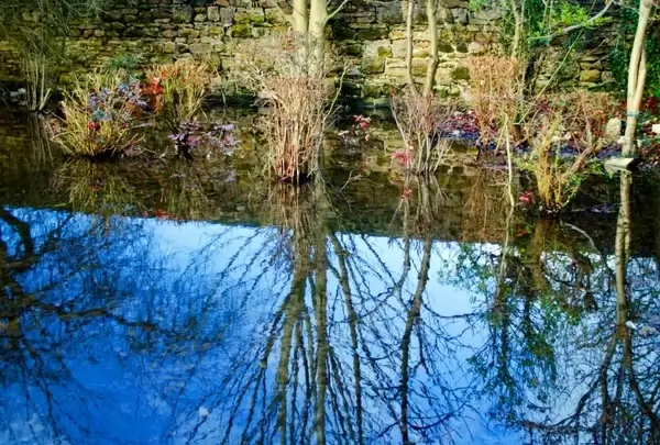 reflection on water
