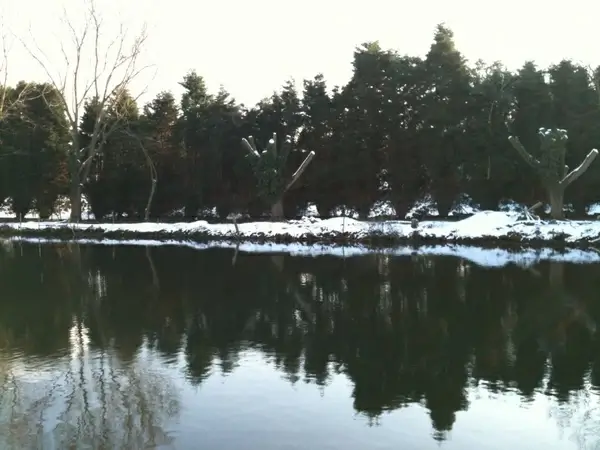 reflections of the river medway