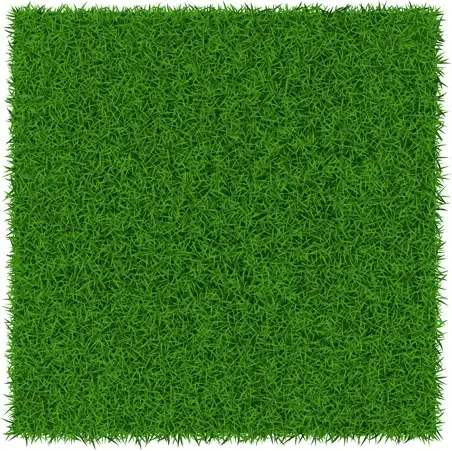 refreshing green grass background vector