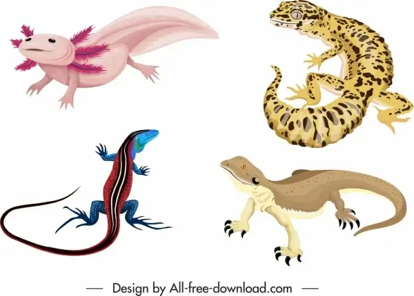 reptile species icons colored gecko salamander dinosaur sketch