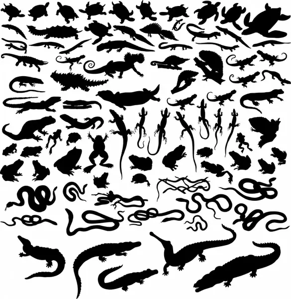 reptiles icons collection flat black silhouettes sketch