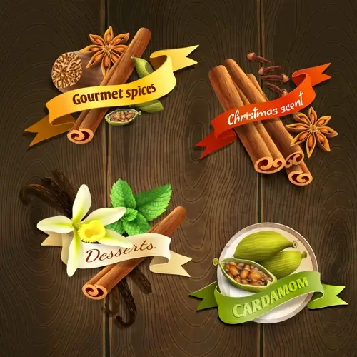retro spices labels design vector set