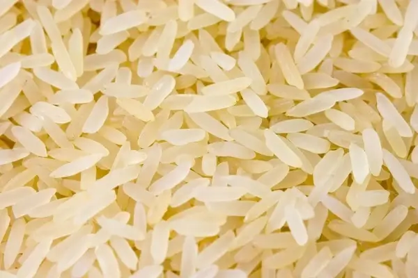 rice grain corn