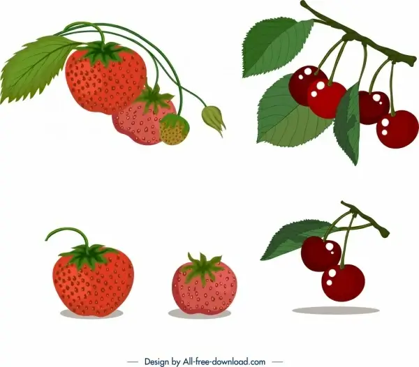 ripe fruits icons strawberry cherry design