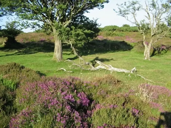 roadside in england
