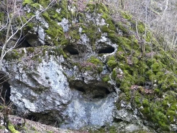 rock cave face