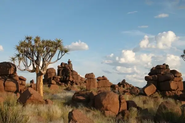 rock formations rocks dichotoma