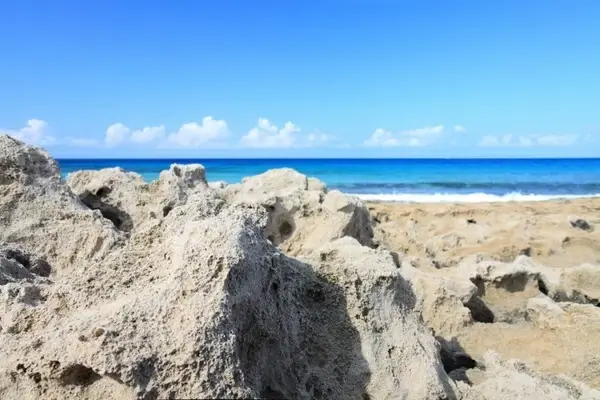 rocky shore