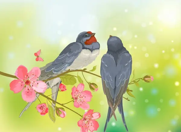 romantic birds on tree branch