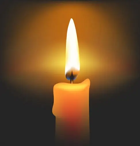 romantic candle elements vector