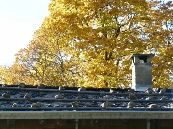 roof wooden roof wood