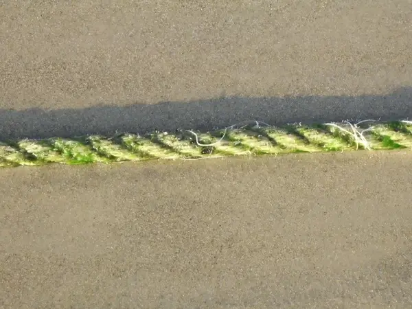 rope beach bond