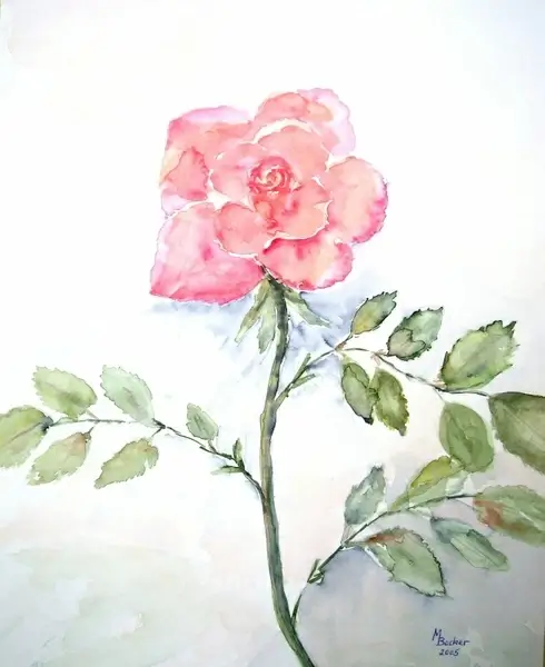 rose flower painting