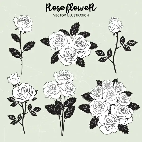 rose icons collection black white outline