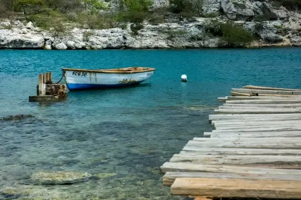 rowing boat 