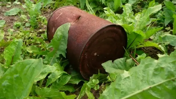 rubbish in the countryside