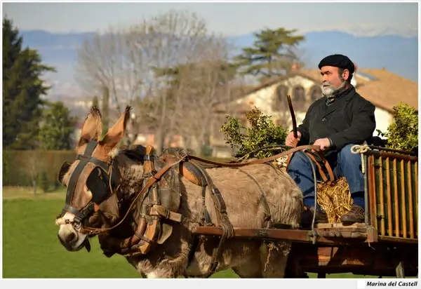rural life