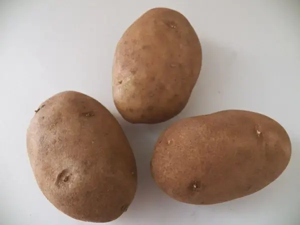 russet potatoes