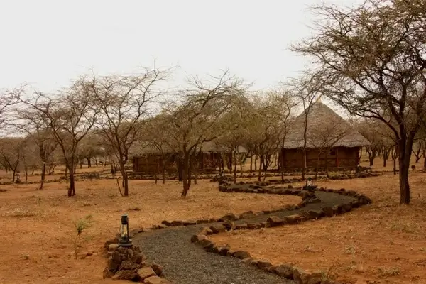 safari camp