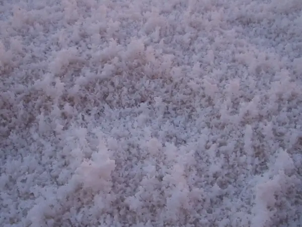 salt salt crust salt lake