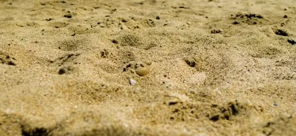 sand