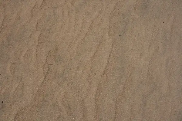sand beach wind