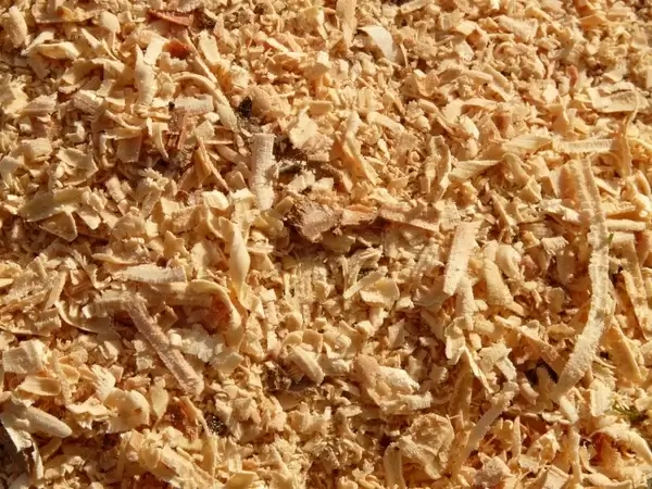 sawdust saw wood