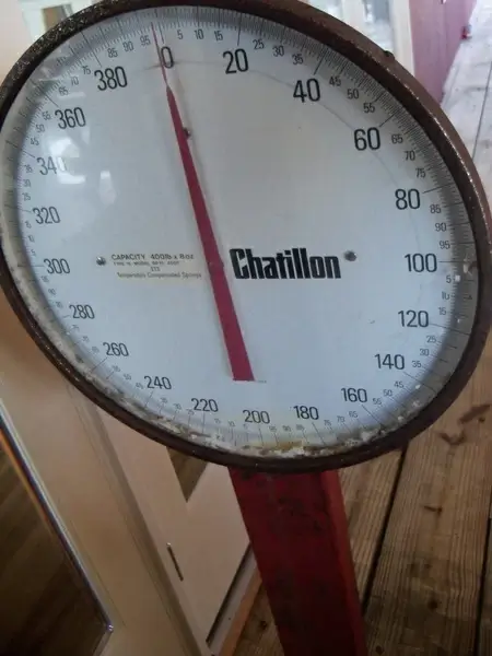 scale