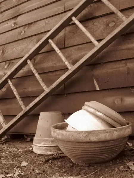scale pot