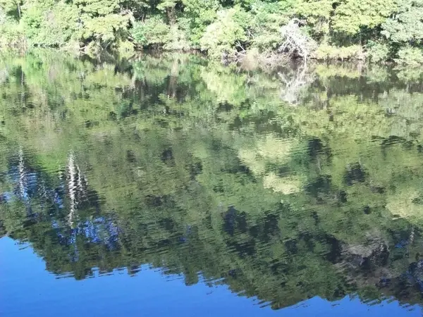 scenic water reflection
