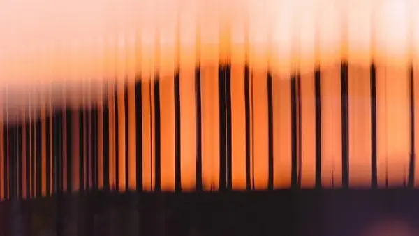 schemes silhouette outline