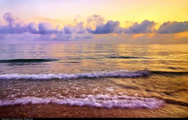 sea