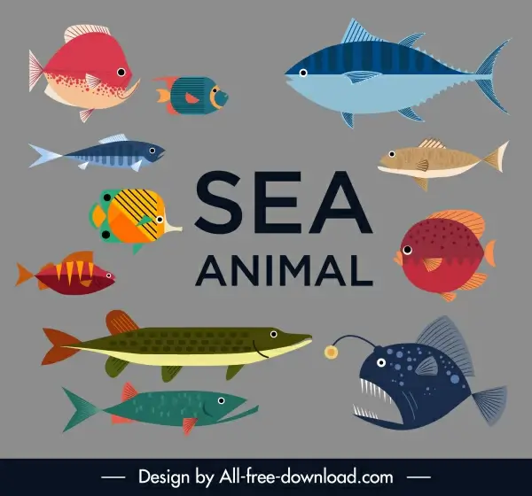 sea fish species icons colorful flat sketch