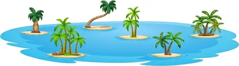 sea islands palm tree vector