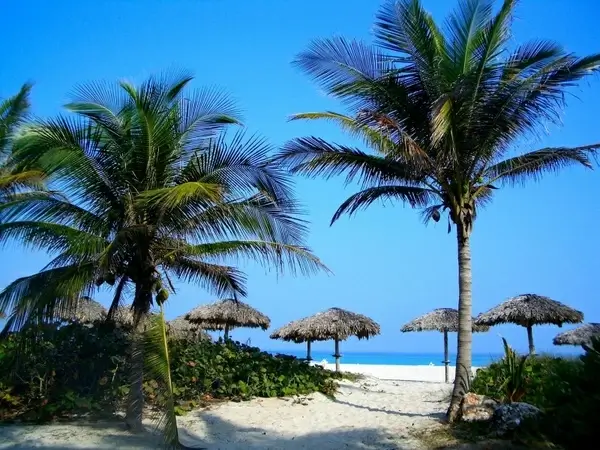 sea ocean water