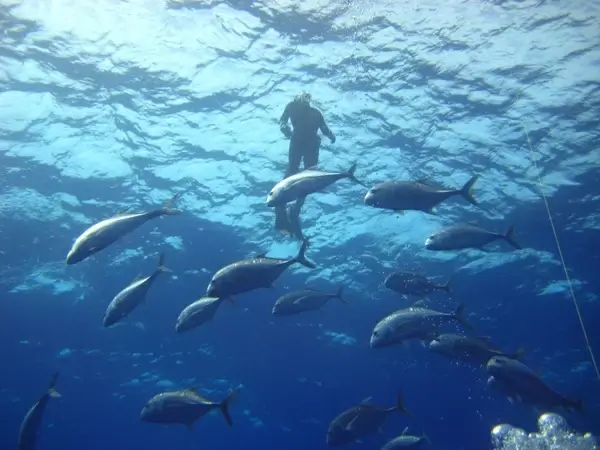 sea ocean water