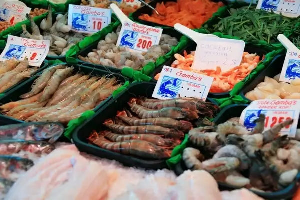 seafood on counter