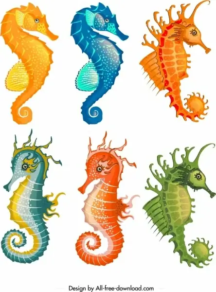 seahorse icons collection colorful cartoon sketch