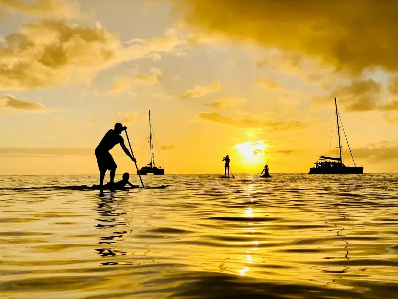 seascape picture elegant silhouette dynamic 