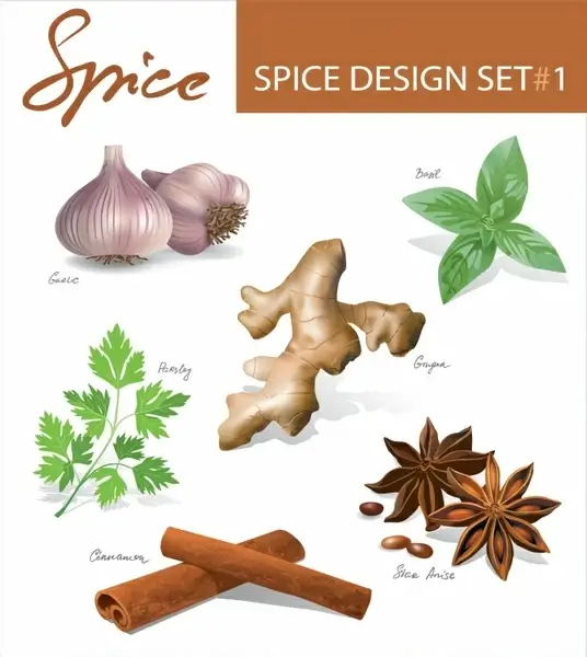 spices icons shiny colored modern design