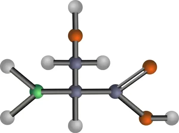 Serine (amino acid)