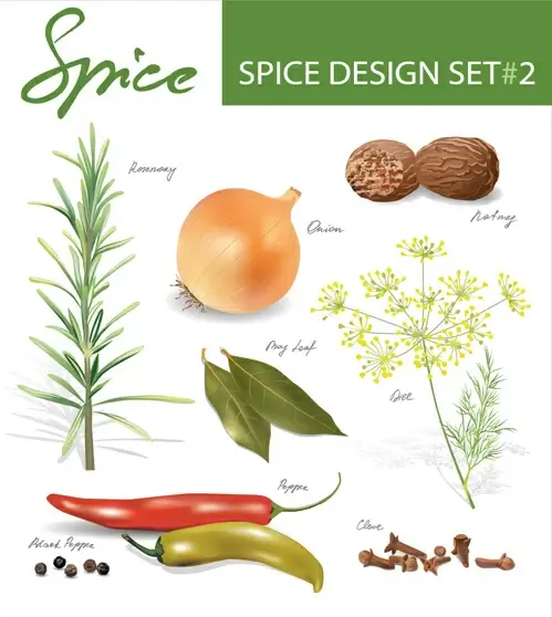 set of different spice design vector