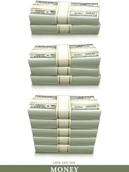 set of dollars in bundles design vector