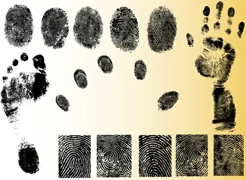 set of fingerprint identification vector