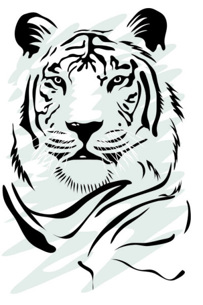 set of tiger elements vector