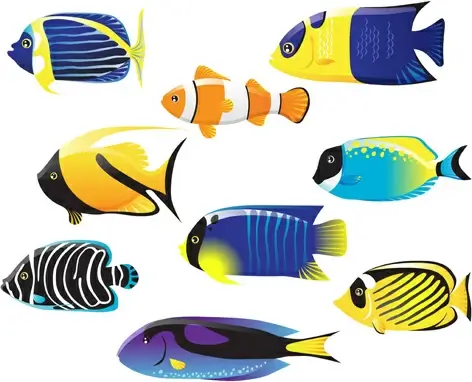 set of various fish vector