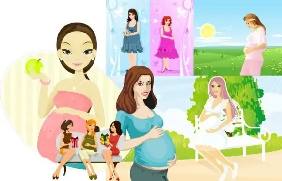 seven pregnant women vector